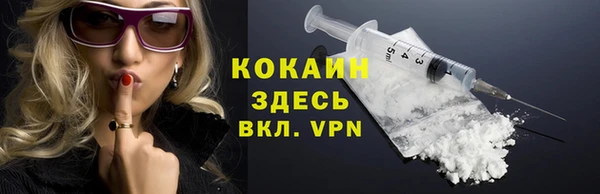 гашик Арсеньев