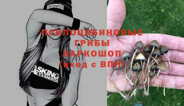 гашик Арсеньев