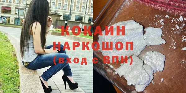 гашик Арсеньев
