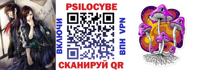 Галлюциногенные грибы Psilocybe  Купить где  Жуков 